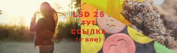 гашик Балахна