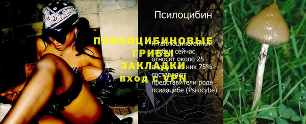 гашик Балахна